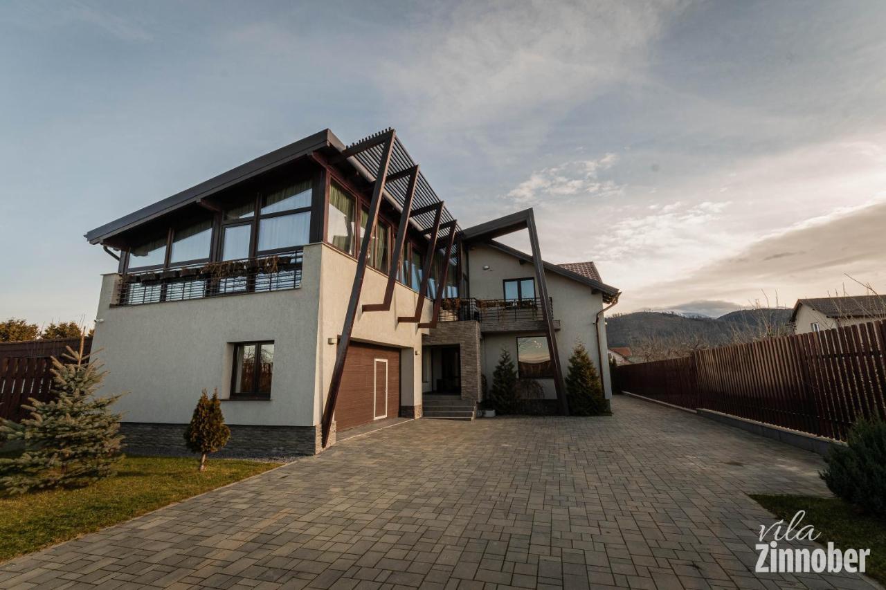 Vila Zinnober Brașov Exterior foto