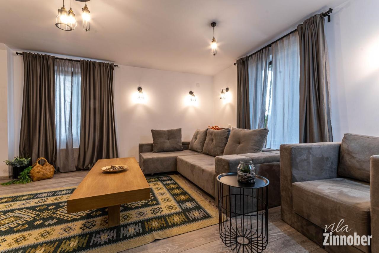 Vila Zinnober Brașov Exterior foto